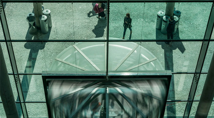 Herding-Cats_700x385